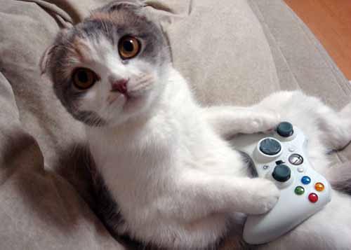 ��� ������ ������ ����� ����� ����..... Chat 01.jpg